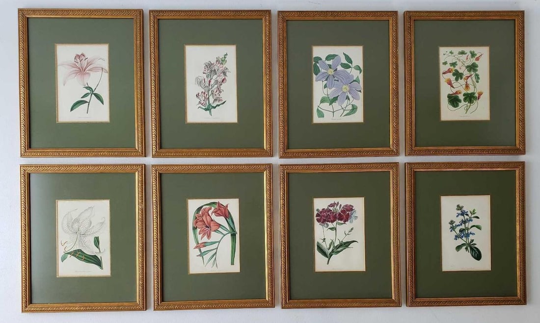 COLLECTION OF EIGHT VINTAGE NICELY MATTED AND FRAMED BOTANICAL PRINTS (1 of 12)