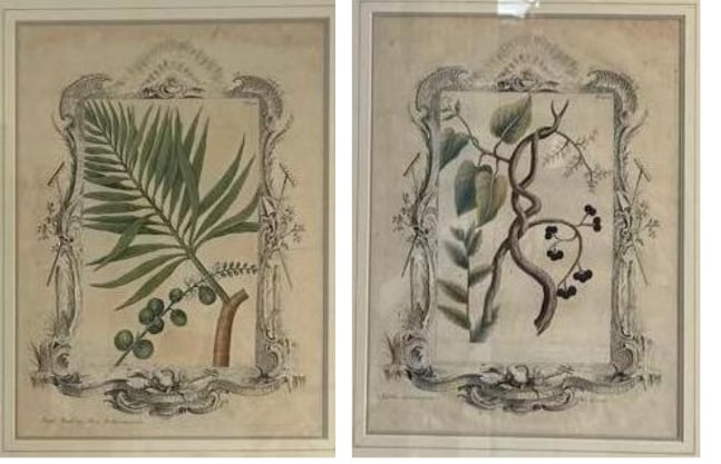 VALUE LOT: PAIR OF ANTIQUE HAND-PAINTED ENGRAVING OF BAMBOO (1 of 14)