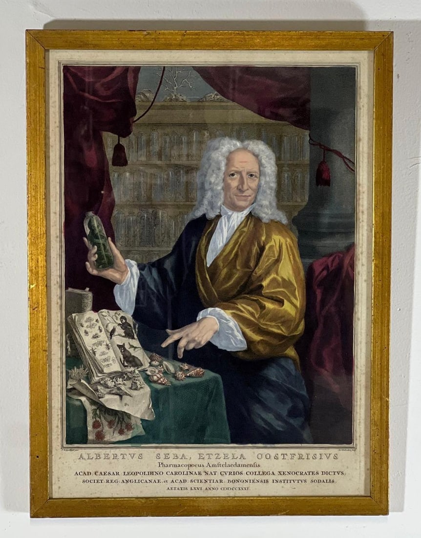 VALUE LOT ANTIQUE HAND COLORED DUTCH ENGRAVING OF ALBERTUS SEBA (1 of 7)
