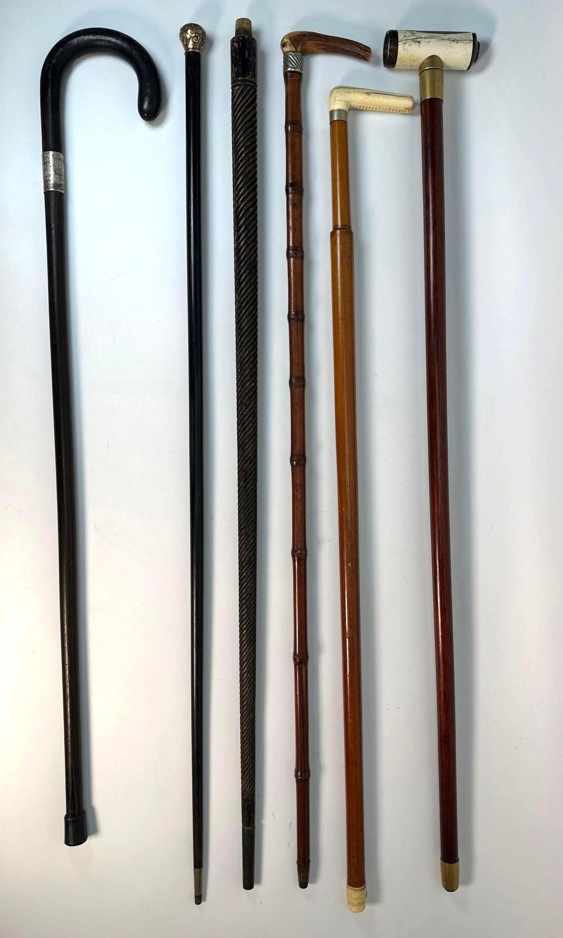 SIX WOODEN DECORATIVE CANES INCLUDING ONE WITH UNUSUAL TELESCOPE HANDLE (1 of 10)