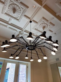 MOOI RON GILAD DEAR INGO 16 LIGHT SPIDER CHANDELIER (1 of 2)