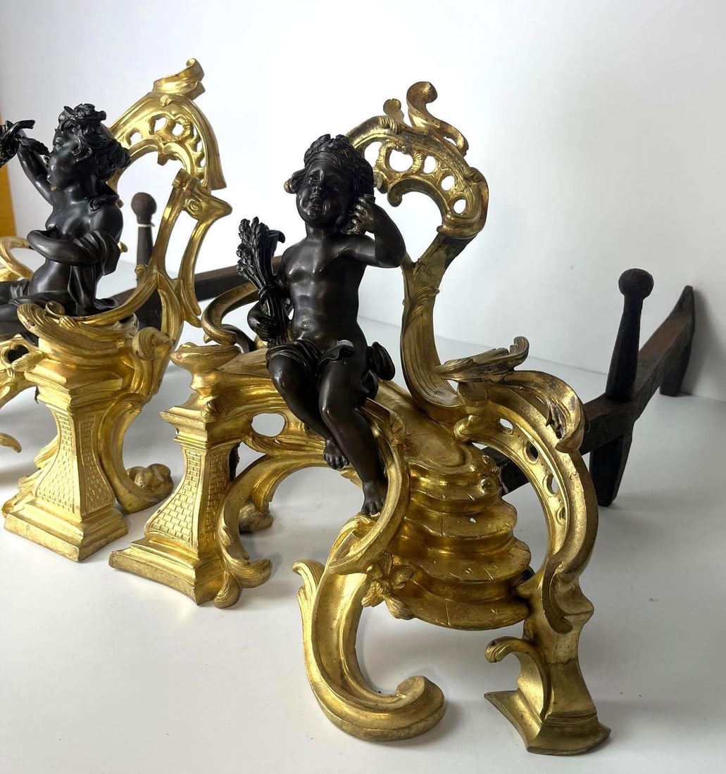 A PAIR BRONZE PATINATED GILT CHENETS 19TH CENTURY (1 of 7)