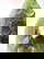 item-209250129=2