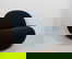 item-210990615=1