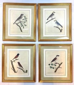 PAIR OF 18TH CENTURY ALEAZAR ALBIN FRAMED HAND-TINTED ENGRAVINGS OF BIRDS