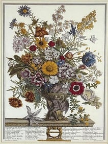 1730 PIETER CASTEELS, H. FLETCHER 'NOVEMBER' BOTANICAL ENGRAVING - FURBER FLOWERS PRINT