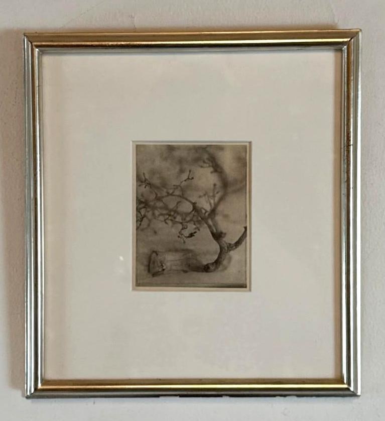 EXQUISITE VINTAGE MINIATURE GRAPE PLANT BRANCH ETCHING (1 of 6)