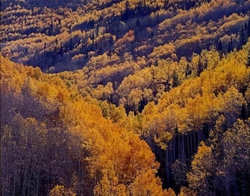 CHRISTOPHER BURKETT CIBACHROME PHOTO "SUNLIT ASPEN MOUNTAIN VALLEY"
