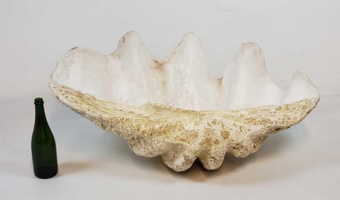 GIANT40" LONG FABULOUS MOLLUSK FRIENDLY FAUX CLAM SHELL