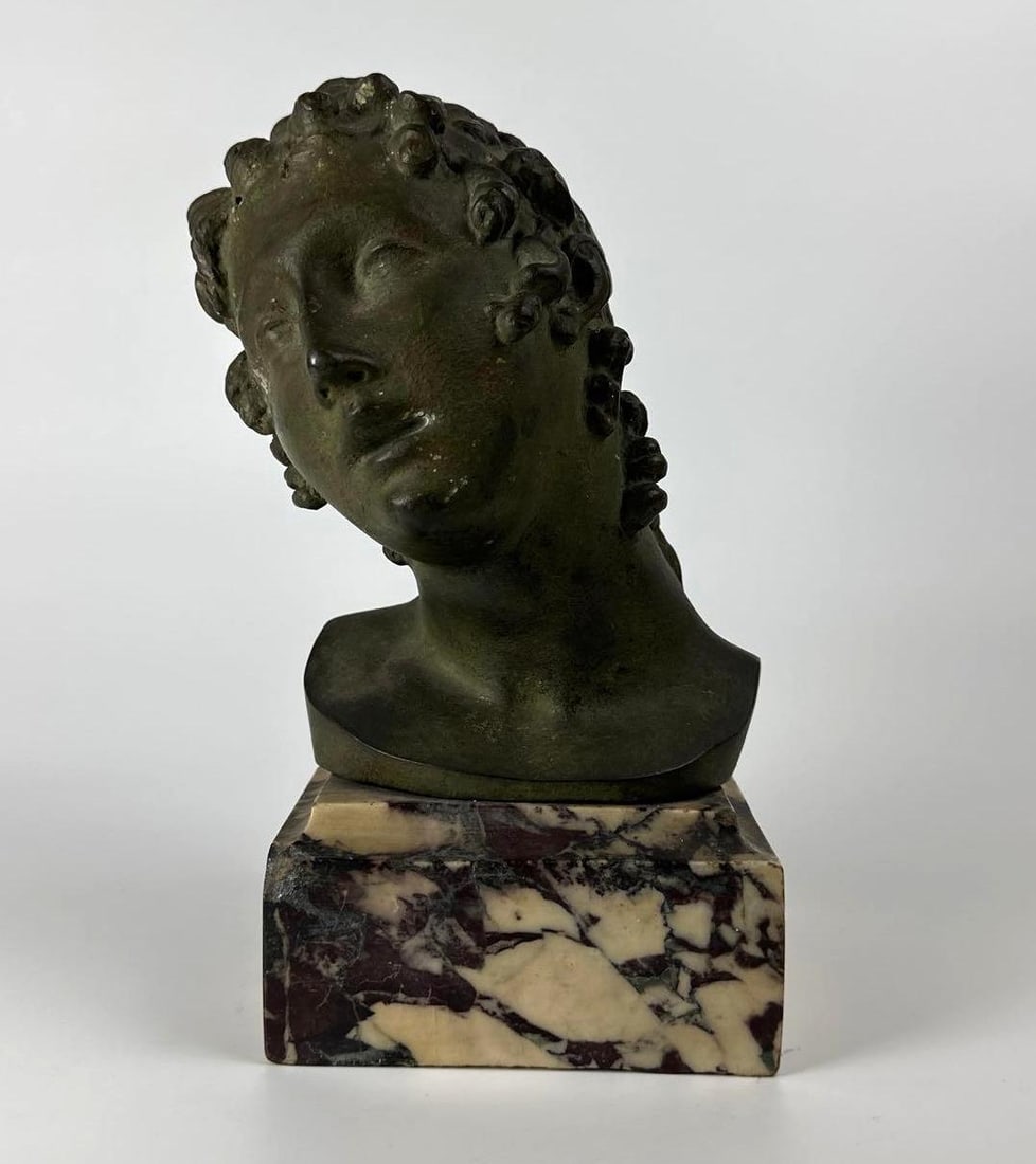 ANTIQUE PATINATED BRONZE BUST ON MARBLE PLINTH (1 of 11)