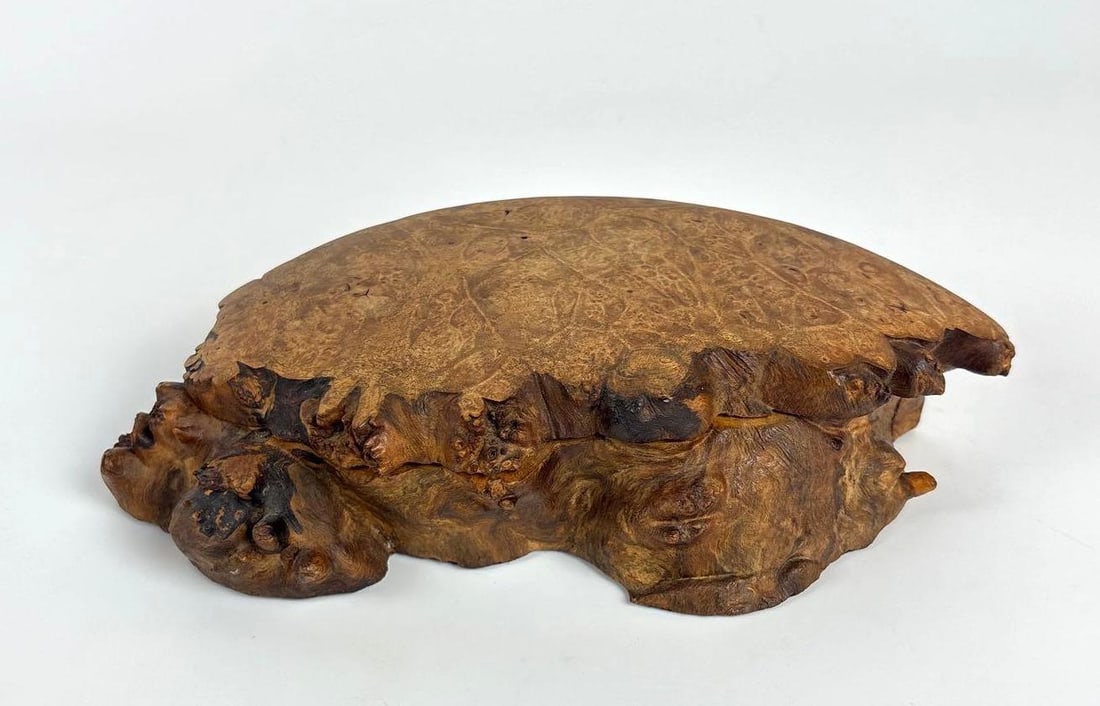 LIVE EDGE BURL WOOD BOX (1 of 8)