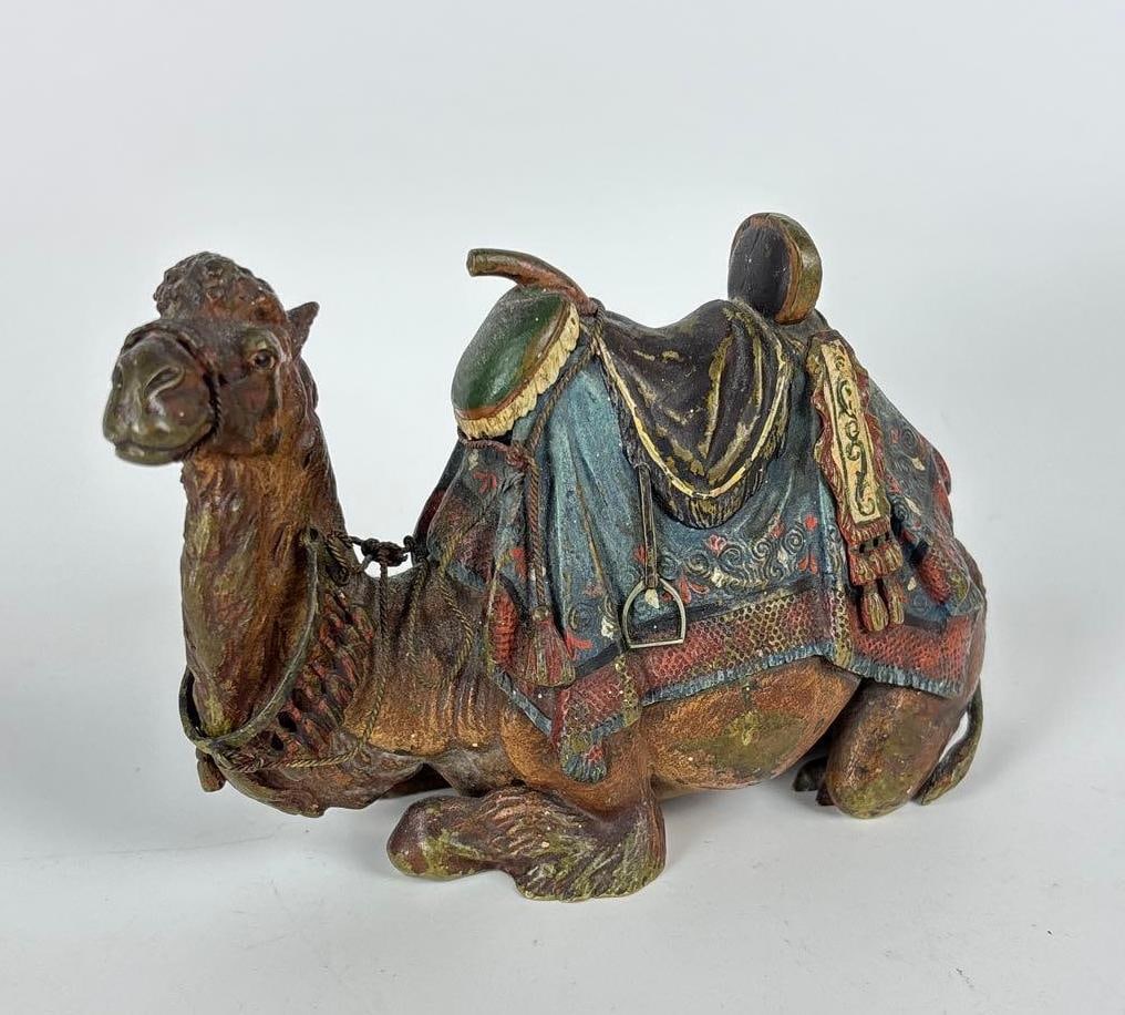 ANTIQUE FRANZ BERGMANN VIENNESE COLD PAINTED BRONZE CAMEL (1 of 8)