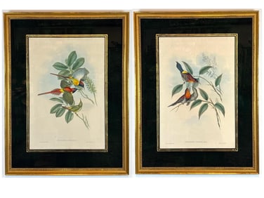 PAIR OF ANTIQUE JOHN GOULD HAND-COLORED LITHOGRAPH FROM BIRDS OF ASIA