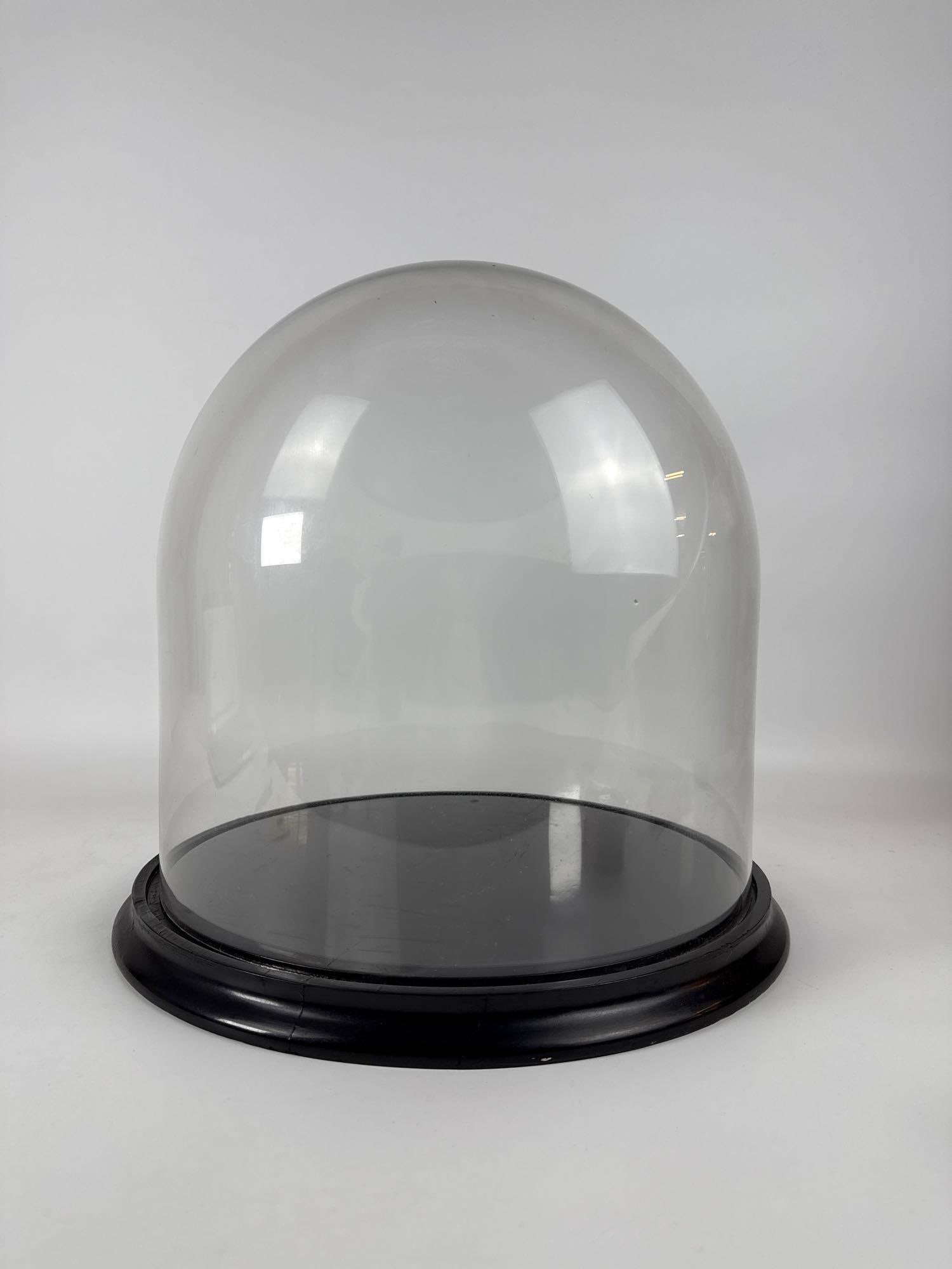 LARGE ANTIQUE GLASS CLOCHE DOME ON EBONIZED WOOD BASE (1 of 5)