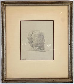 ETCHING TREE DRAWING, FRAMED