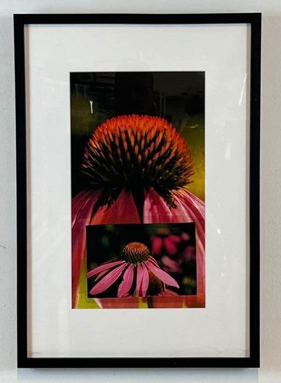 ROSS BLECKNER UNTITLED (FLOWER COLLAGE) ARCHIVAL PIGMENT PRINT: Large scale pink flower head centered above a smaller identical floral inset on dark background Approximate Dimensions: 12" X 17"; Frame 16" X 23" Artist or Maker: Ross Bleckner
