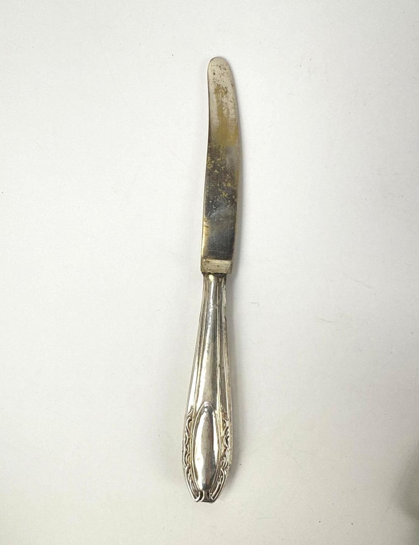 800 SILVER DESSERT FRUIT FLATWARE SET - 16