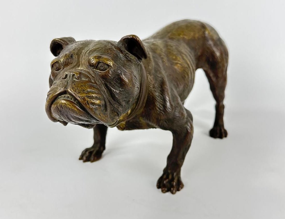 AUSTRIAN STYLE COLD-PAINTED BRONZE BULLDOG SCULPTURE IN STYLE OF BERGMAN: Realistic cast bronze figure of a standing English Bulldog with a textured coat and detailed facial expression. Approximate Dimensions: 6.5”h x 6”w x 14”d Artist or Maker: Unknown
