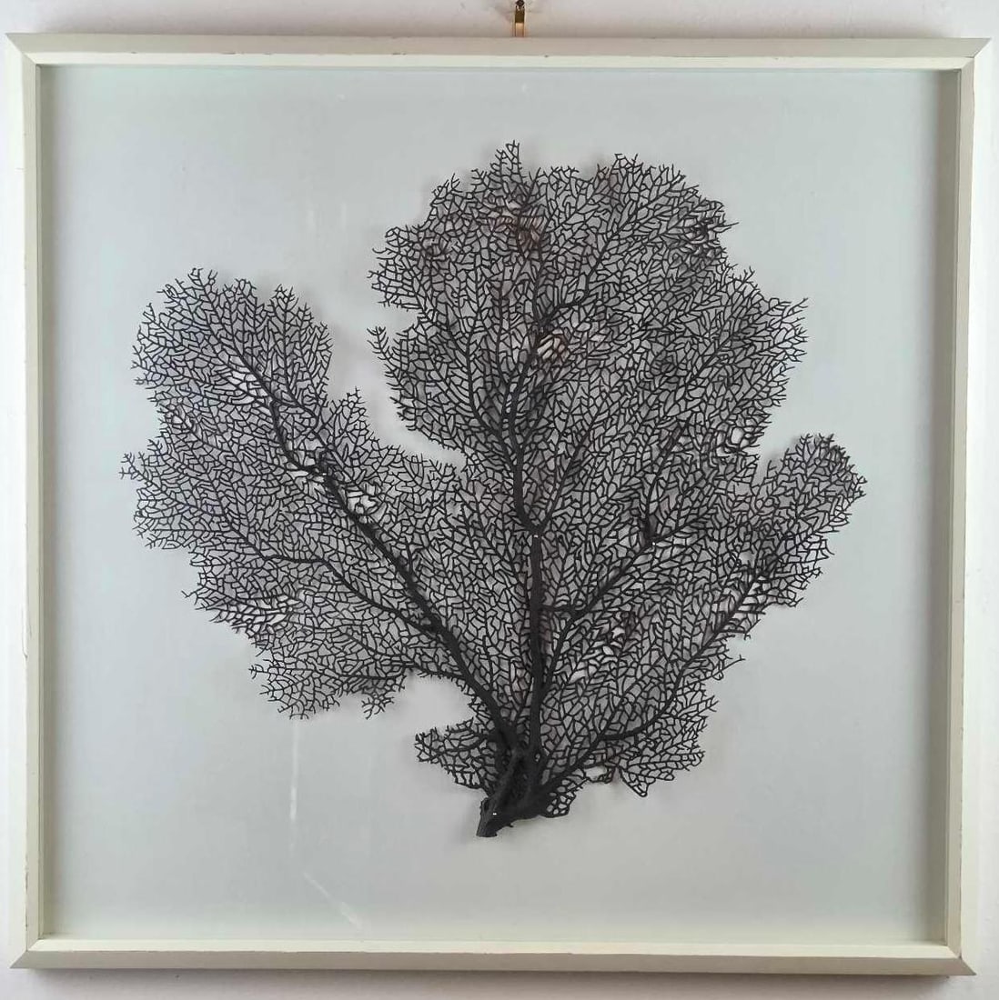 SEA FAN WALL ART PIECE (1 of 6)