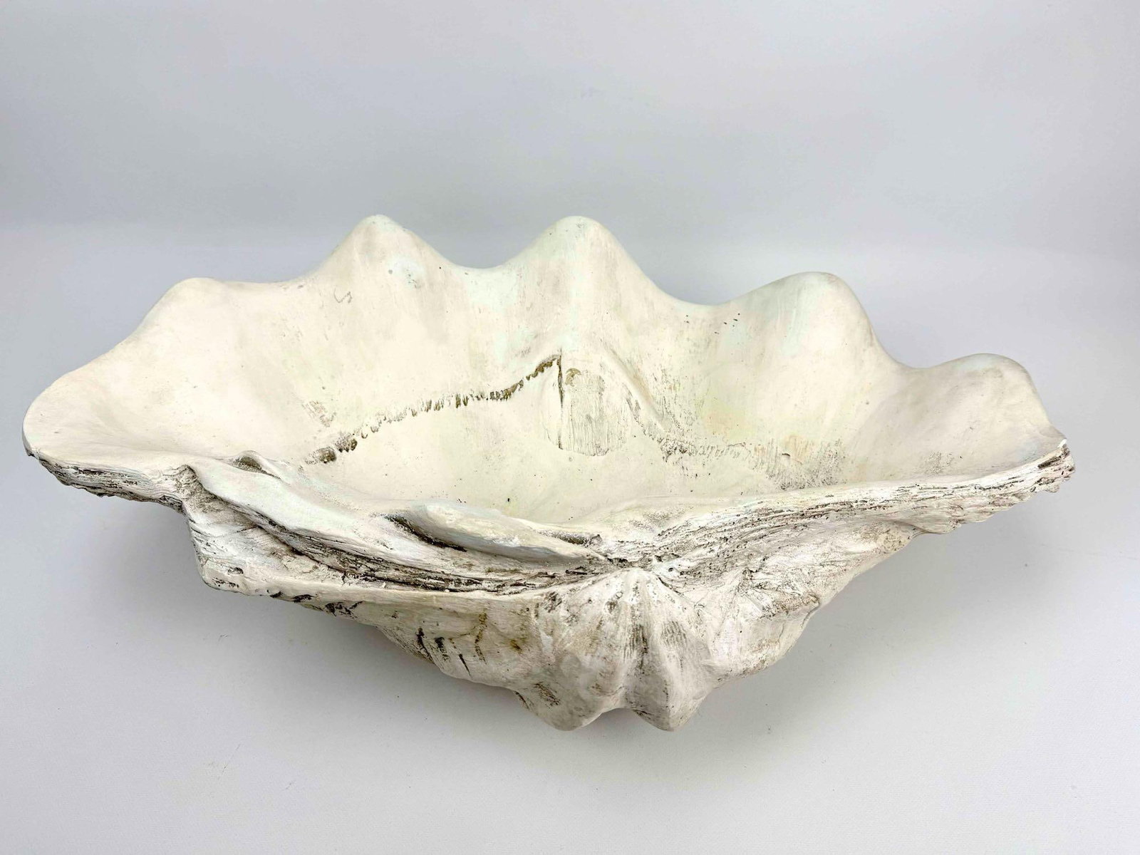 FAUX GIANT CLAMSHELL - 10