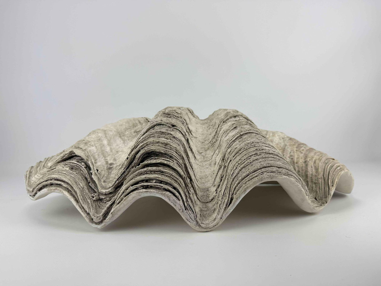 FAUX GIANT CLAMSHELL - 11