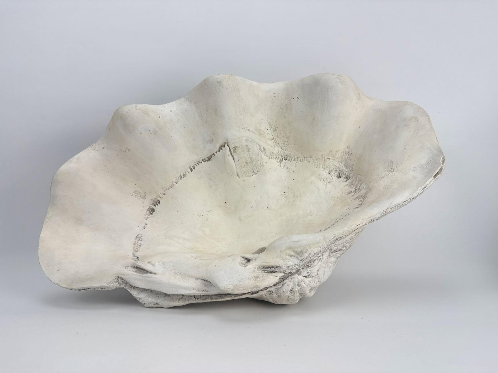 FAUX GIANT CLAMSHELL - 2