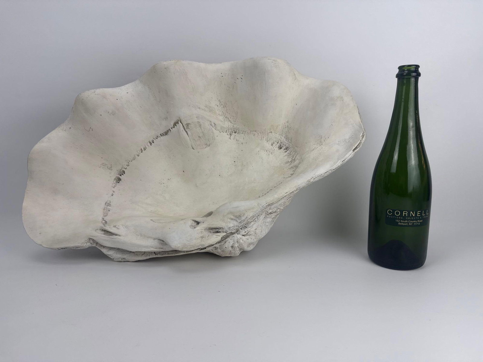 FAUX GIANT CLAMSHELL - 3