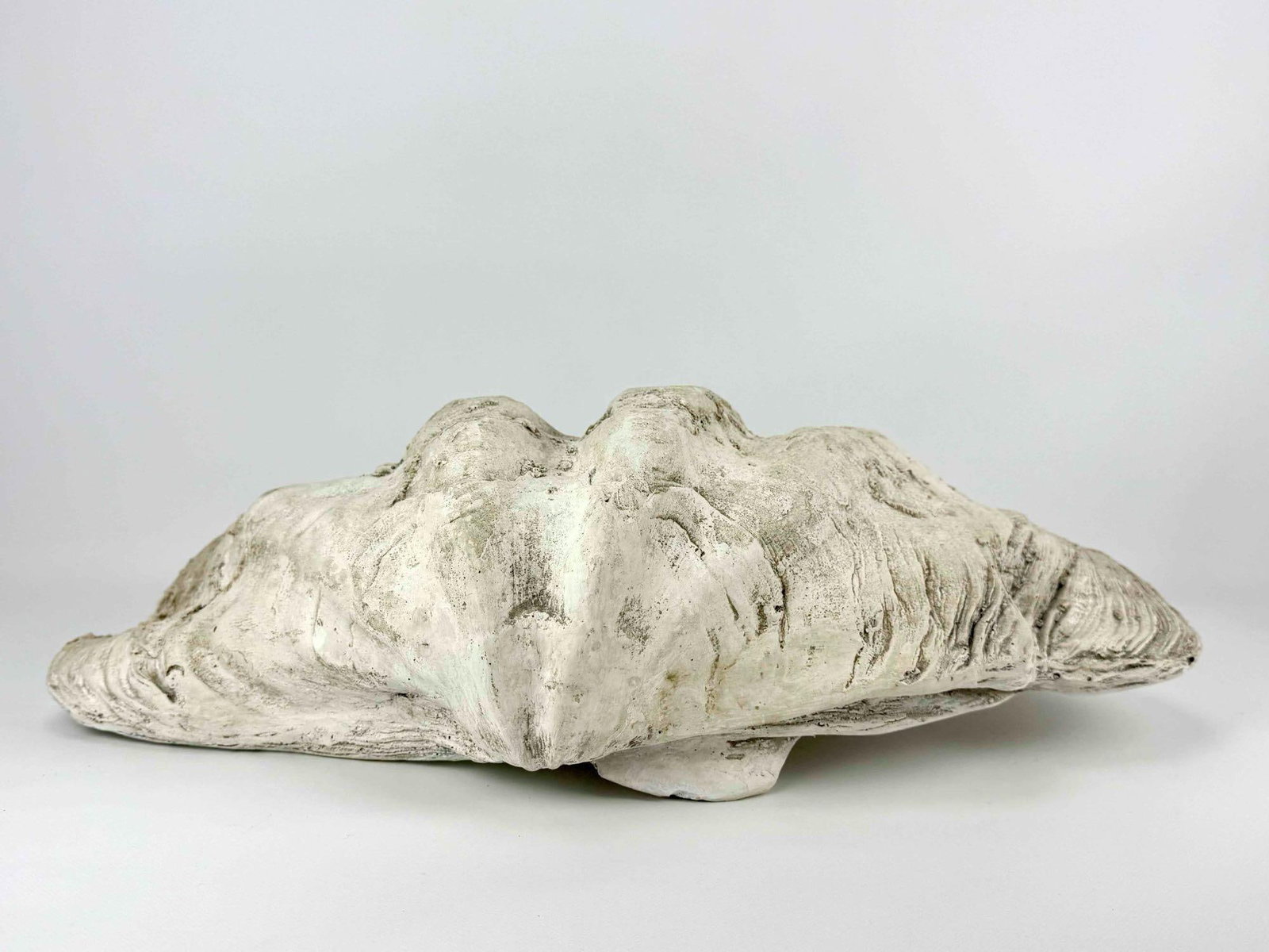 FAUX GIANT CLAMSHELL - 6