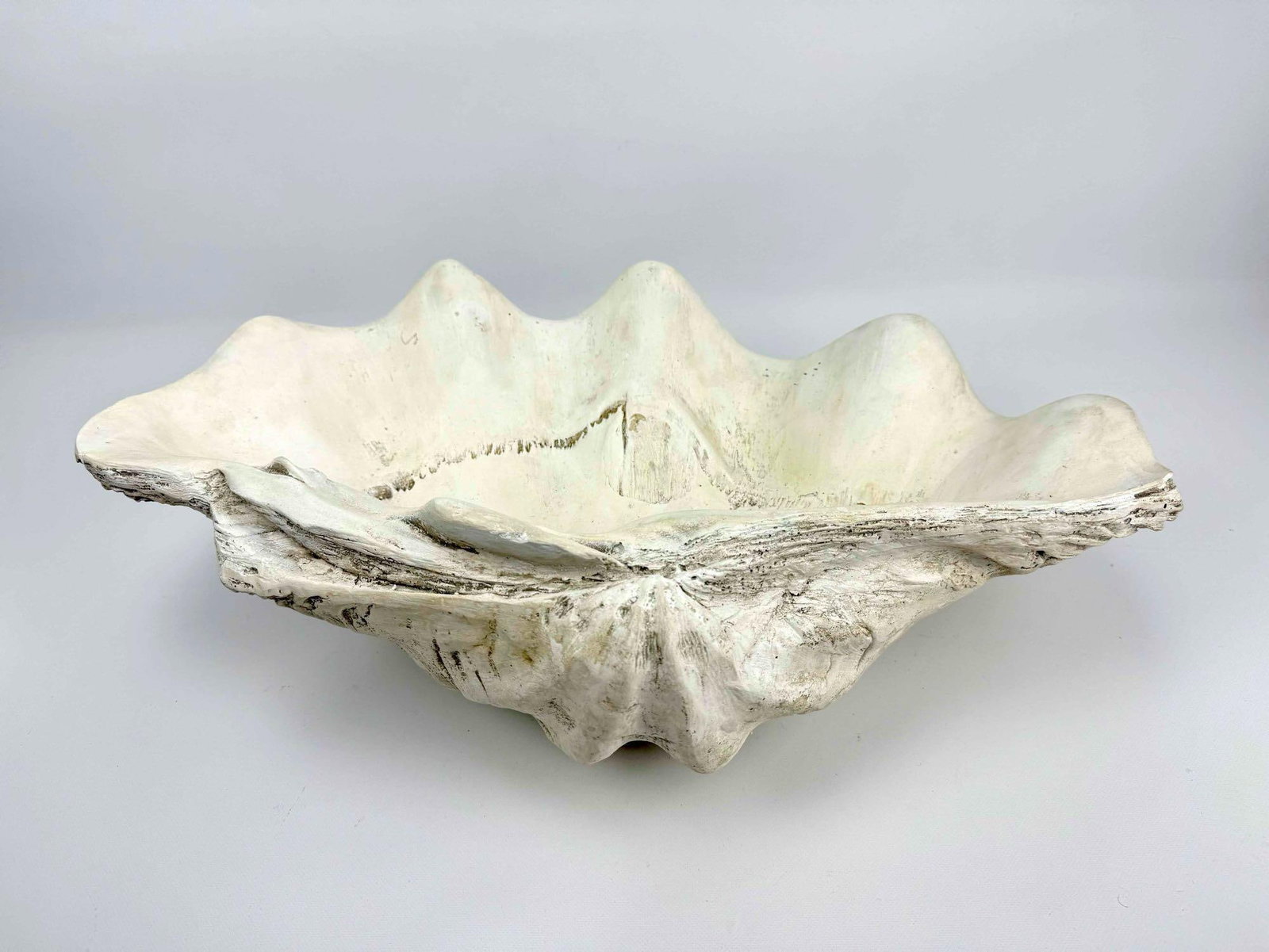 FAUX GIANT CLAMSHELL - 9