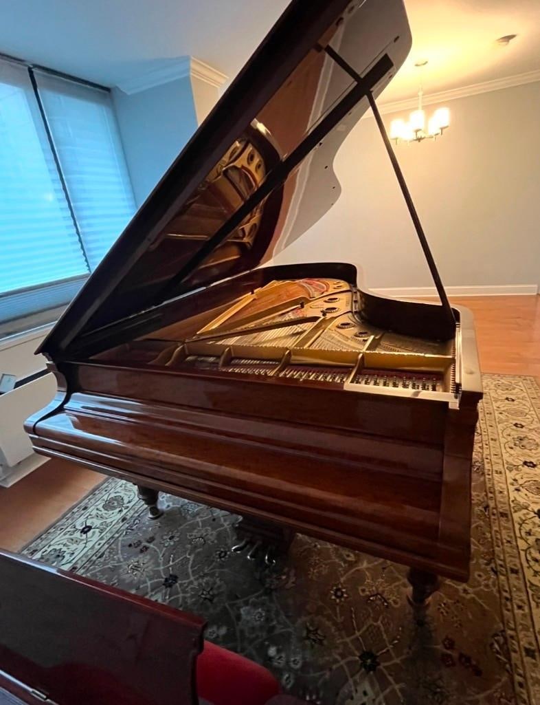 STEINWAY GRAND PIANO MODEL C #121940 (1906) - 3