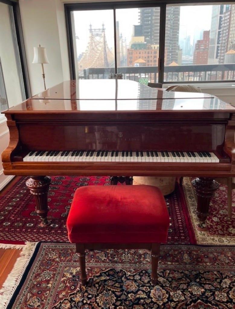 STEINWAY GRAND PIANO MODEL C #121940 (1906) - 5