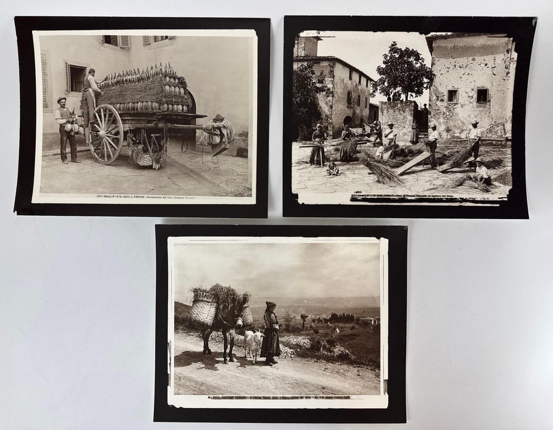 LOT OF 3 FRATELLI ALINARI FIRENZE VINTAGE ARCHIVAL PRINTS (1 of 10)