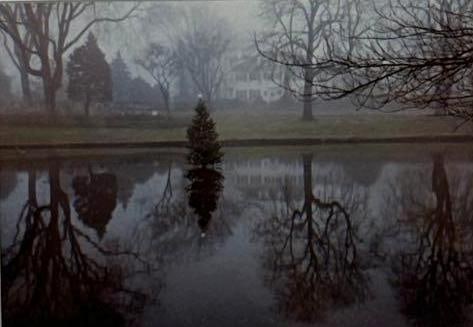 SIGNED PHOTOGRAPH EAST HAMPTON POND WINTER HOLIDAY LIGHTS LIMITED EDITION: Limited edition color photograph of Town Pond in East Hampton New York depicting the floating holiday tree and reflection of the illuminated Maidstone Hotel at night Approximate Dimensions: 5” x