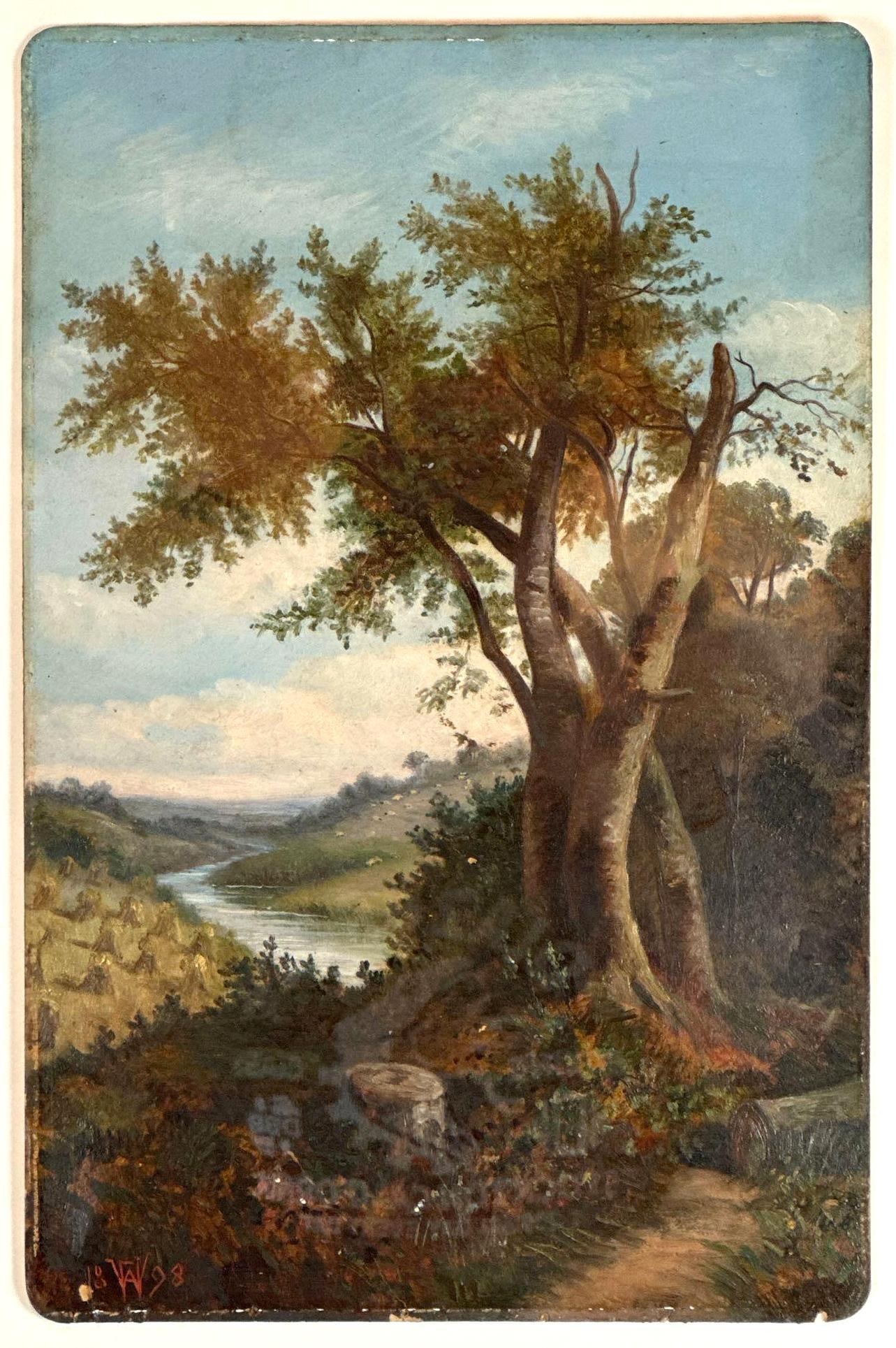 HUDSON RIVER SCHOOL STYLE ANTIQUE LANDSCAPE PAINTING SIGNED VAV 1898 (1 of 7)