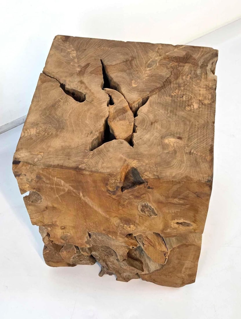 TWISTED TEAK ROOT SIDE TABLE - 9