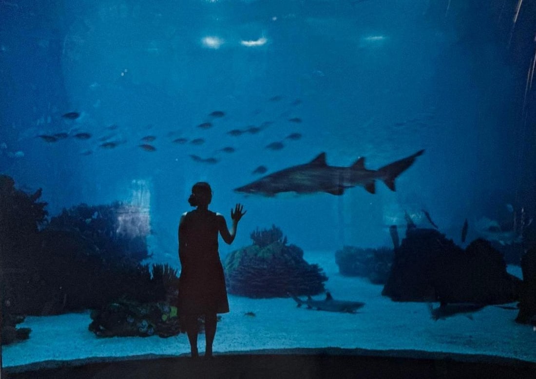 BRIGITTE LACOMBE FRAMED PHOTOGRAPH SHARK INTERIOR: Framed color photograph of a surreal interior with sharks, silver frame Approximate Dimensions: 18” x 23”; Frame: 24"H x 30"W Artist or Maker: Brigitte Lacombe (French, b. 1950) Pr