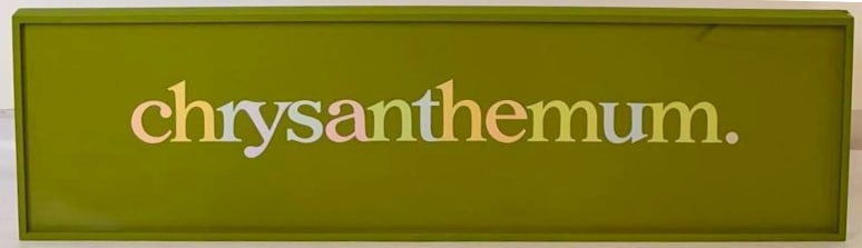 RICCI ALBENDA CHRYSANTHEMUM IN K TEXT LIGHTBOX WORK: green panel text work "chrysanthemum." - "Chrysanthemum in K" by Ricci Albenda Approximate Dimensions: 16” x 57” overall Artist or Maker: Ricci Albenda (American, b. 1966) 