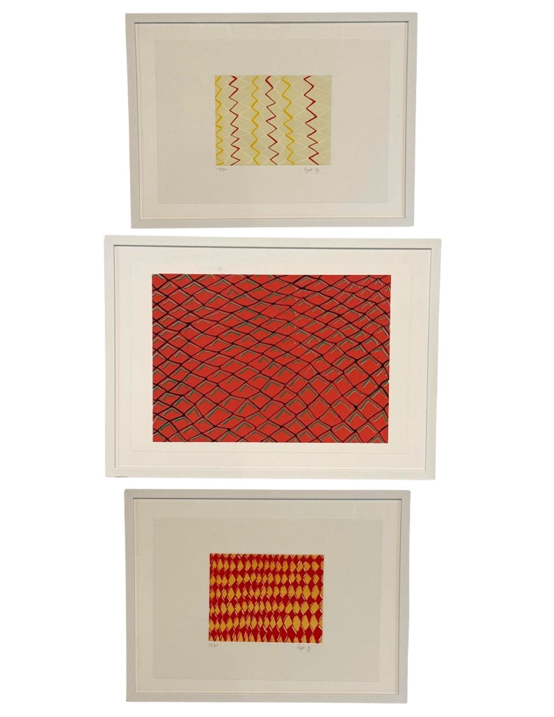 CYNTHIA ROJAS THREE ABSTRACT PATTERN PRINTS: three framed editioned prints with zigzag, checkered, and pink grid patterns, two smaller are signed and numbered. Approximate Dimensions: Largest Item 14” x 23”; Frame: 20” x 27&rdq