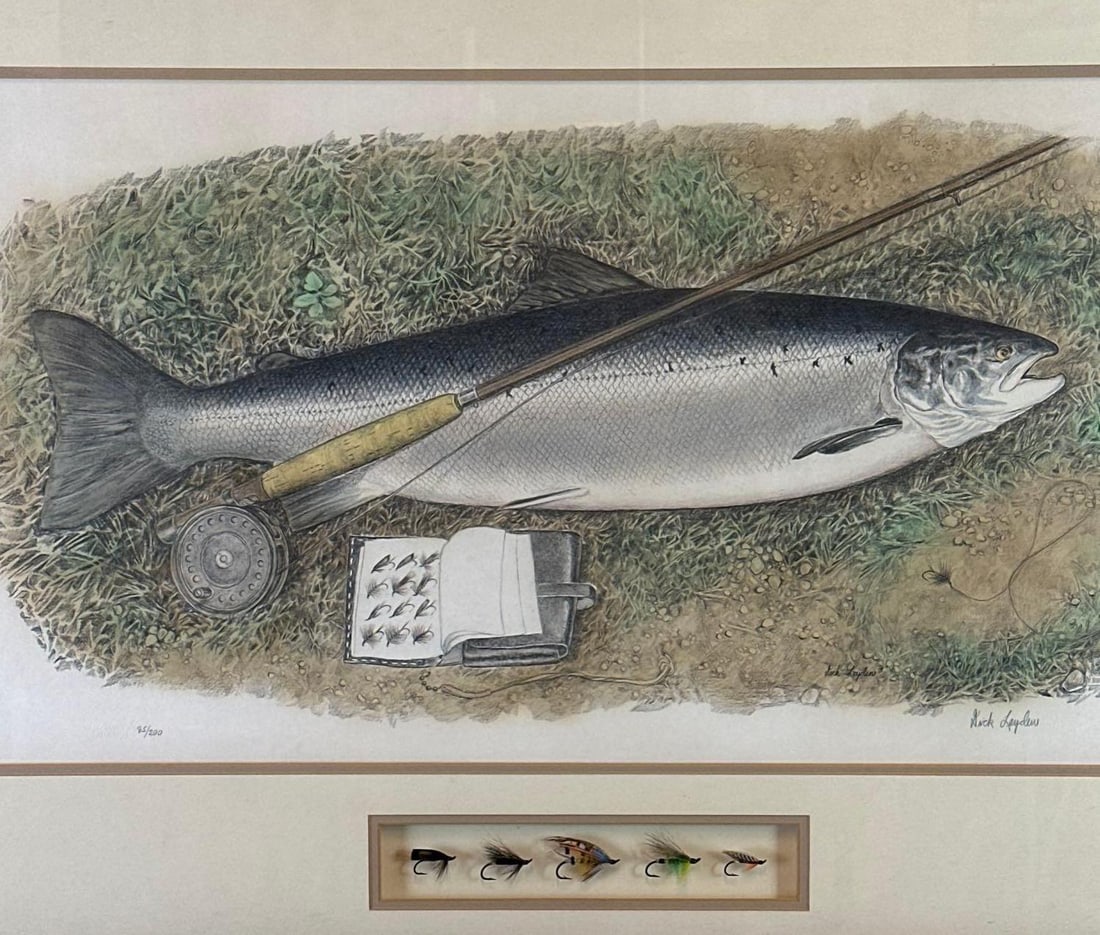 NICK LEYDEN ANGLING DISPLAY WITH FISH PICTURE AND MOUNTED FISHING FLIES: Angling display, the upper panel with a study of a game fish above a glazed strip mounted with tied fishing flies, in a cream mat and dark wood frame Approximate Dimensions: 35" x 24" Art