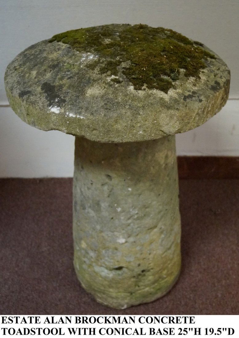 CONCRETE TOADSTOOL (1 of 1)