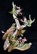 EDWARD MARSHALL BOEHM BIRD GROUP - 2
