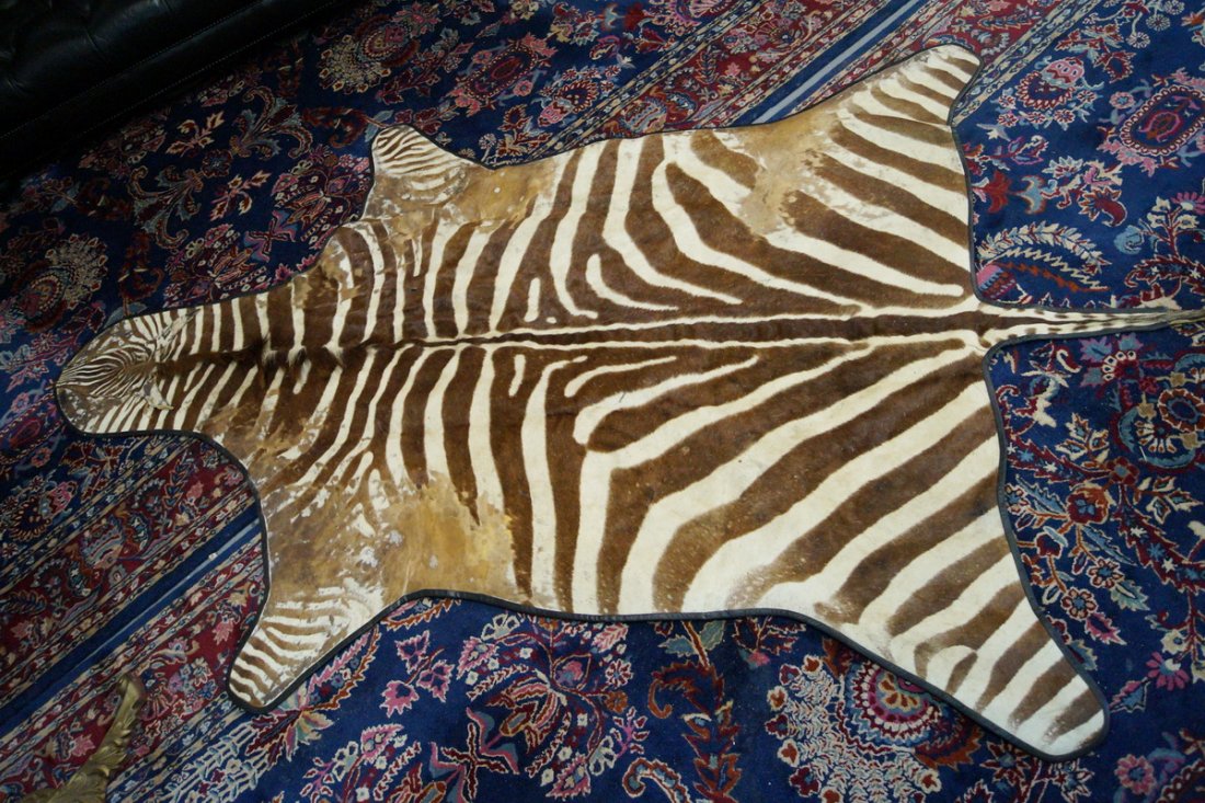 ZEBRA SKIN RUG (1 of 5)