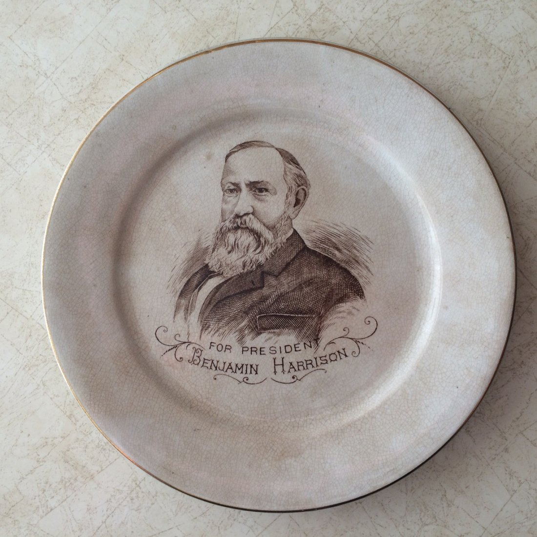 BENJAMIN HARRISON PRESIDENTIAL CAMPAIGN PLATE: BENJAMIN HARRISON FOR PRESIDENT CAMPAIGN 8 INCH DINNER PLATE WARRANTED IRONSTONE CHINA IT IS IN GOOD ORIGINAL CONDITION, BUT HAS CRAZING . WE OFFER IN HOUSE SHIPPING