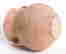 item-55164519=2