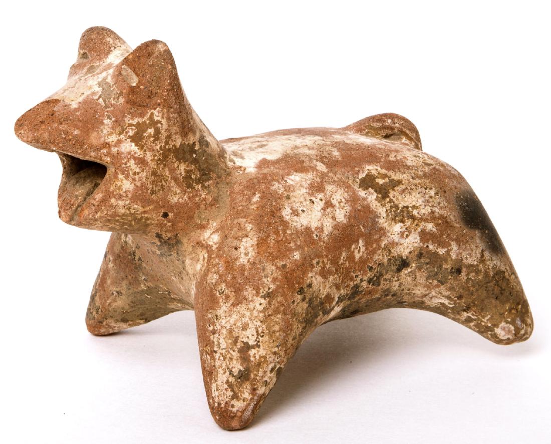 Ancient Pre Columbian Colima Pottery Dog c.100 BC-250 A (1 of 1)