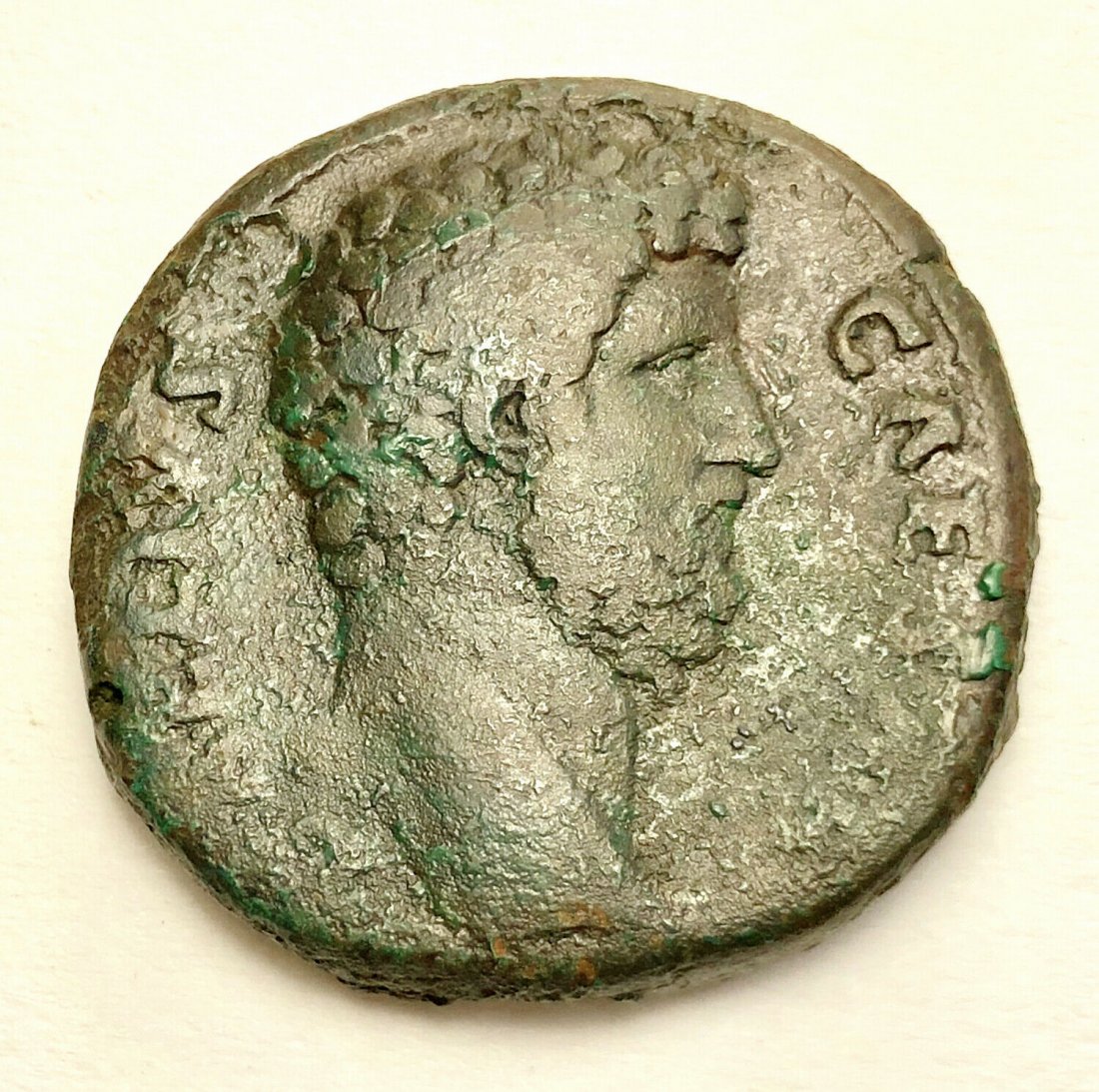 Ancient Roman Aelius. Caesar, AD 136-138. Æ Sestertius: Ancient Roman Aelius. Caesar, AD 136-138. Æ Sestertius (24.35 gm, 30mm). Bare head right / Spes advancing left, holding flower and raising skirt?. F.