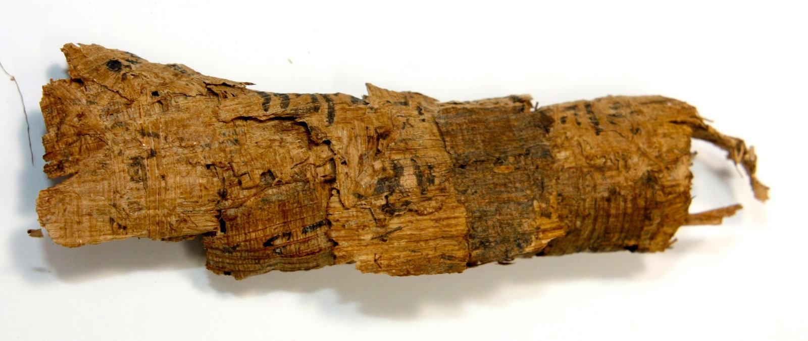 Ancient Egyptian papyrus Scroll with Demotic: Ancient Egyptian papyrus Scroll with Demotic Inscription Ptolemaic Period c. 300 BC. Size 3 inches length (7.6 cm) Provenance. Private NYC collection, brought to USA prior to 1948, to present owner by