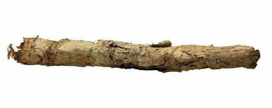 Ancient Egyptian papyrus scroll Ptolemaic Period c.3rd: Ancient Egyptian papyrus scroll Ptolemaic Period c.3rd Century B.C. Size 6 inches length. Ancient papyrus scroll, with demotic script, the demotic probably administrative lists. Rare and excellent con