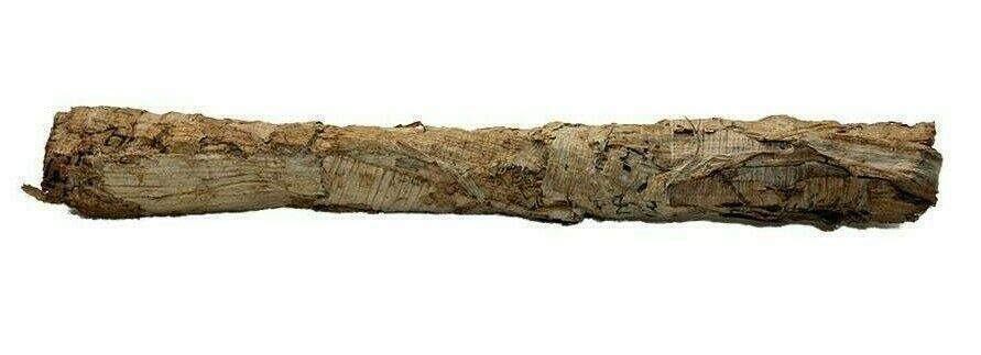 Ancient Egyptian papyrus scroll Ptolemaic Period c.3rd: Ancient Egyptian papyrus scroll Ptolemaic Period c.3rd Century B.C. Size 6 inches length. Ancient papyrus scroll, with demotic script, the demotic probably administrative lists. Rare and excellent con