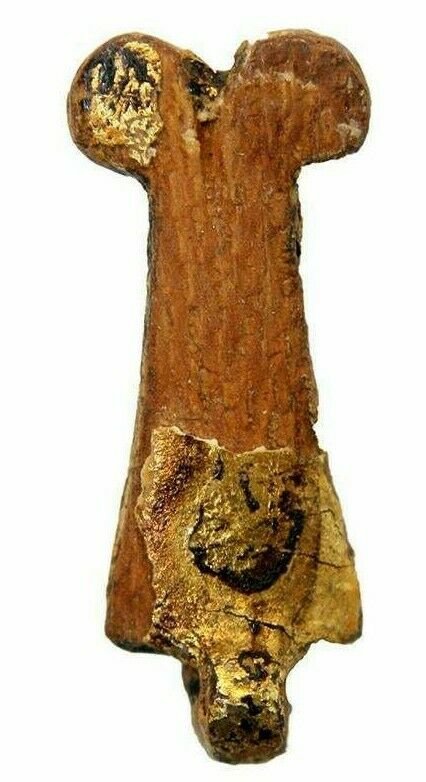 Ancient Egyptian Double Ostrich Feather Amulet: Ancient Egyptian Double Ostrich Feather Amulet c.715-330 BC. Size 25 x 9 mm. Fine double ostrich feather of wood and gold leaf amulet. Provenance: Ex Harlen Berk Chicago USA.